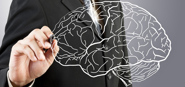 desenho de cérebro humano